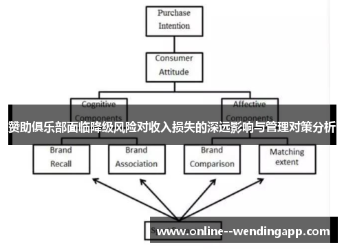 赞助俱乐部面临降级风险对收入损失的深远影响与管理对策分析