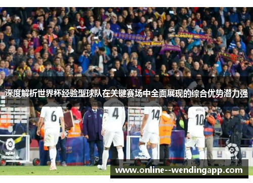 深度解析世界杯经验型球队在关键赛场中全面展现的综合优势潜力强