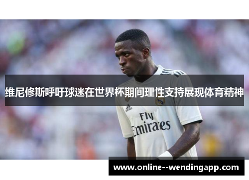 维尼修斯呼吁球迷在世界杯期间理性支持展现体育精神