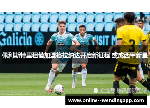 佩利斯特里租借加盟格拉纳达开启新征程 或成西甲新星