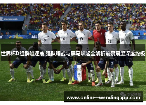 世界杯D组群雄逐鹿 强队暗战与黑马崛起全解析前景展望深度终极