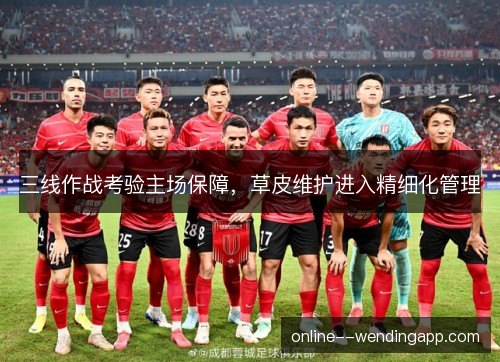 三线作战考验主场保障,草皮维护进入精细化管理 三线作战考验主场保障,草皮维护进入精细化管理