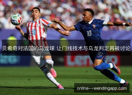 贝希奇对法国的乌龙球 让门线技术与乌龙判定再被讨论
